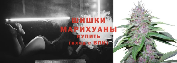 ПСИЛОЦИБИНОВЫЕ ГРИБЫ Тобольск