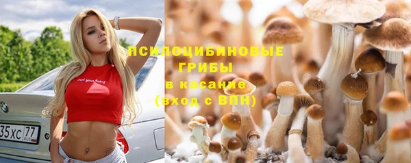 мет Очёр